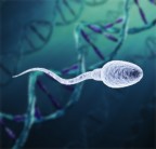 Новая услуга! Оценка фрагментации ДНК в сперматозоидах